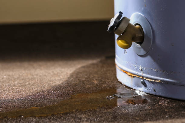 Best Mold removal after water damage  in Lewistown, IL