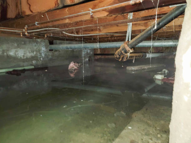 Best Emergency water damage restoration  in Lewistown, IL
