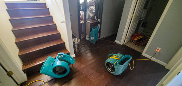 Best Ceiling water damage repair  in Lewistown, IL