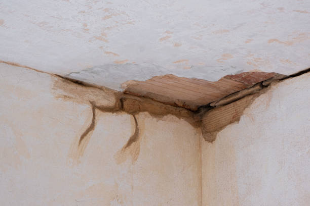 Best Emergency water damage restoration  in Lewistown, IL