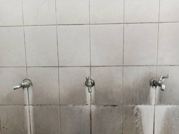 Best Flood restoration services  in Lewistown, IL