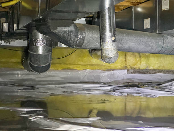 Best Water damage restoration near me  in Lewistown, IL