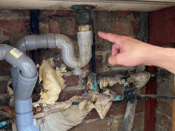 24/7 water damage repair in IL