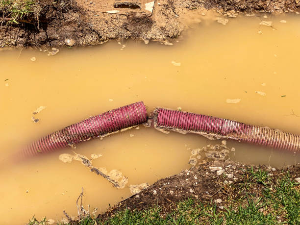 Best 24/7 water damage repair  in Lewistown, IL
