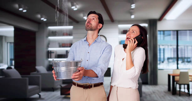 Best Water damage cleanup near me  in Lewistown, IL